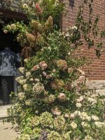 183. Strand in Manly, Sydney, Australien