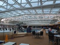 202. Holland America Westerdam