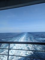 213. Holland America Westerdam