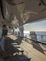 215. Holland America Westerdam