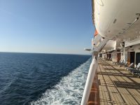 235. Holland America Westerdam