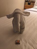 236. Holland America Westerdam