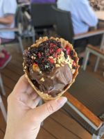 247. Holland America Westerdam