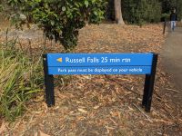 255. Mt. Field Nationalpark, Hobart, Tasmanien, Australien