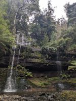 263. Mt. Field Nationalpark, Hobart, Tasmanien, Australien