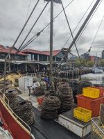 281. Wasserfront, Hobart, Tasmanien, Australien