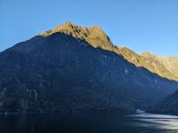 297. Milford Sound, Fjordland Nationalpark, Neuseeland