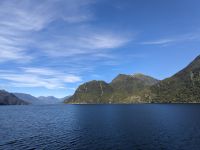 303. Doubtful Sound, Fjordland Nationalpark, Neuseeland