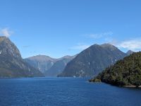 304. Doubtful Sound, Fjordland Nationalpark, Neuseeland