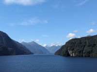308. Dusky Sound, Fjordland Nationalpark, Neuseeland