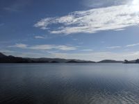 322. Otega Halbinsel, Dunedin, Neuseeland