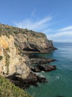 323. Otega Halbinsel, Dunedin, Neuseeland