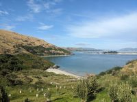 324. Otega Halbinsel, Dunedin, Neuseeland