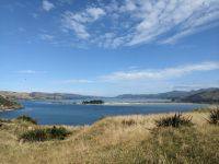 328. Albatross-Kolonie, Otega Halbinsel, Dunedin, Neuseeland