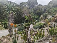 363. Botanischer Garten Wellington, Neuseeland