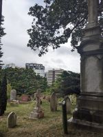 370. Friedhof, Botanischer Garten Wellington, Neuseeland