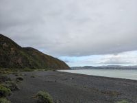 378. Storm Coast Wellington, Neuseeland