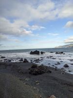 379. Storm Coast Wellington, Neuseeland