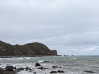 380. Storm Coast Wellington, Neuseeland