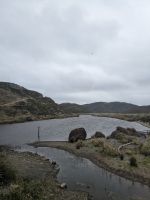 394. Storm Coast Wellington, Neuseeland