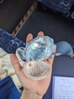 395. Storm Coast Wellington, Neuseeland