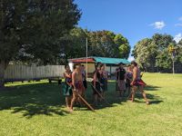 428. Maori-Experience, Tauranga, Neuseeland