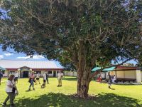 429. Maori-Experience, Tauranga, Neuseeland