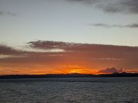 435. Sonnenuntergang Holland America Westerdam