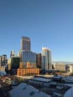 438. Ankunft in Auckland, Neuseeland