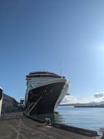 441. Ausschiffung Holland America Westerdam