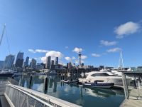 446. Wynyard Quarter Blick auf die Skyline von Auckland, Neuseeland