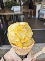 450. Mission Bay, Auckland, Neuseeland