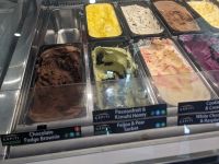 451.  Mission Bay, Auckland, Neuseeland