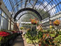 463. Domain Auckland, Neuseeland