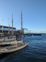 477. Wasserfront, Aucland, Neuseeland