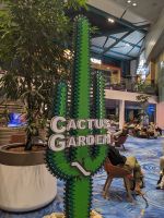 490. Singapur Flughafen Kakteengarten