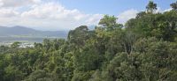 Kuranda und Rainforest (2)