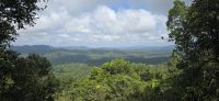 Kuranda und Rainforest (3)