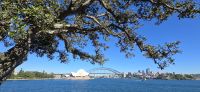 Sydney Impressionen (5)