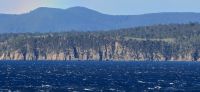 Tasmanien (3)