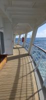 Die Noordam auf See (3)