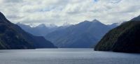 Fjordland (4)