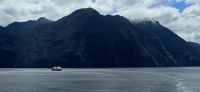 Fjordland (5)