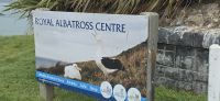 Royal Albatross Center (3)