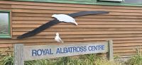 Royal Albatross Center (7)