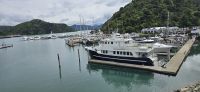 Picton Yachthafen
