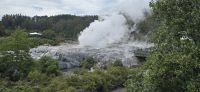 Te Puia (5)