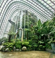 Im Cloud Forest rauscht ein riesiger Wasserfall von der Decke, Singapur &ndash; &copy; Simone Willner (Eberhardt TRAVEL)