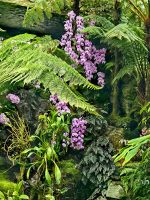 Wir sind total neidisch auf die üppige Pracht in Singapurs Orchideengarten &ndash; &copy; Simone Willner (Eberhardt TRAVEL)