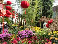 Im Botanischen Garten stehen die Zeichen auf Chinesisch Neujahr &ndash; &copy; Simone Willner (Eberhardt TRAVEL)